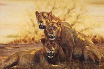 lion 9 Oil Paintings